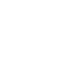 rv-300x300 rv-300x300