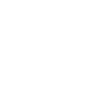 town-house-300x300 town-house-300x300